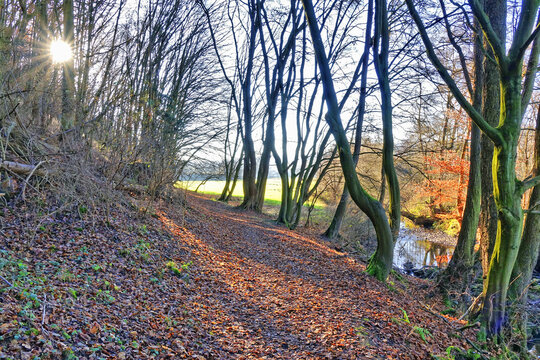 Weg an der Aar im Taunus