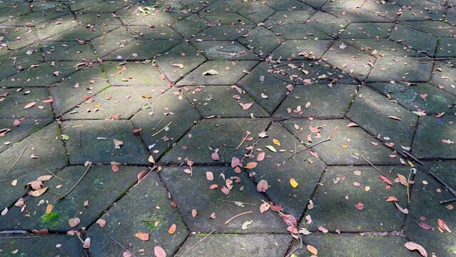paving stones on the ground with fallen leaves