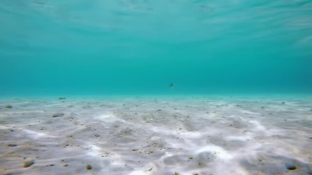 Slow steadicam tracking video above pristine powdery white sandy seabed in shallow vibrant turquoise ocean water with golden sunbeams and caustics, concept of pure natural tranquility
