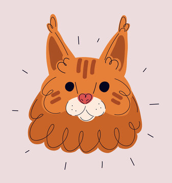Cartoon vector illustration of Maine Coon cat face, showcasing majestic fur and expressive features