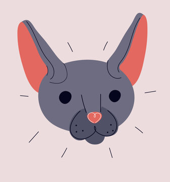 Cartoon vector illustration of Oriental cat face, showcasing sleek and graceful features