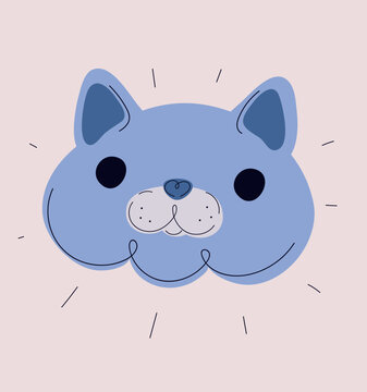 Cartoon vector illustration of British Shorthair cat face, showcasing round and soft features
