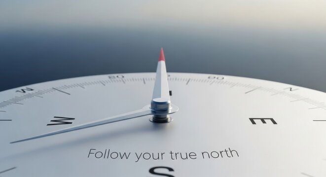 A Compass Pointing True North