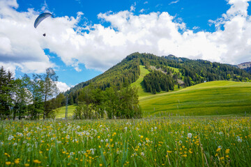 Fototapeta premium Gleitschirmflieger über grüner Bergwiese mit Alpenblumen und sanfter Bergkulisse im Tannheimer Tal