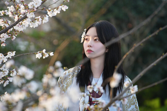 한복 입은 여성의 봄날 감성 야외 초상