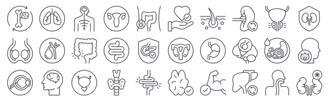 Set of 30 human organ minimal thin line web icons including brain, heart, liver, kidney, stoh, lung, intestine, thyroid, bone, blood and anatomy symbols in editable vector format