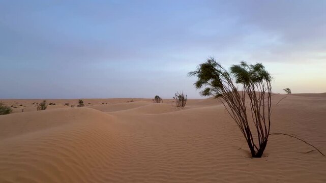 Beautiful Sahara Red Desert Landscape of Tunisia