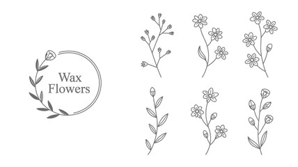 Fototapeta premium A delicate black and white illustration features several floral stems and branches arranged around a circular text element high quality professional detailed modern elegant stylish clean