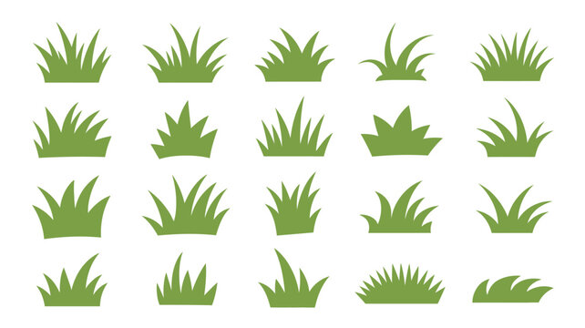 A collection of various green grass tufts and blades are displayed on a plain white background showcasing different shapes and styles high quality professional detailed modern