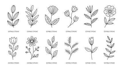 A collection of hand drawn floral elements including various leaves and blooms presented in a simple black and white line art style high quality professional detailed © rocky