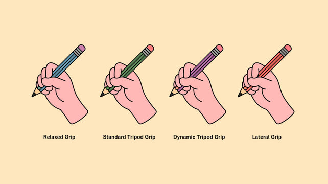 Four different hand positions are illustrated showing variations in pencil grips for writing labeled with descriptive names high quality professional detailed modern elegant stylish clean crisp