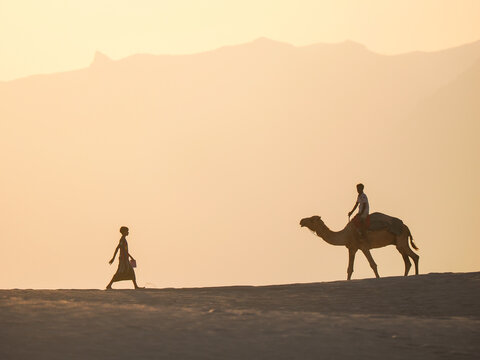 Silhouette of man and camel (Camelus dromedarius) at sunset Socotra