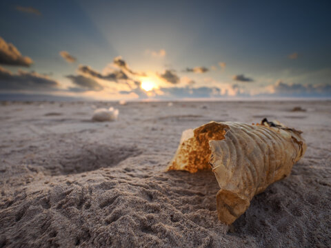 Plastic pollution on Socotra beach at sunset Yemen copy space