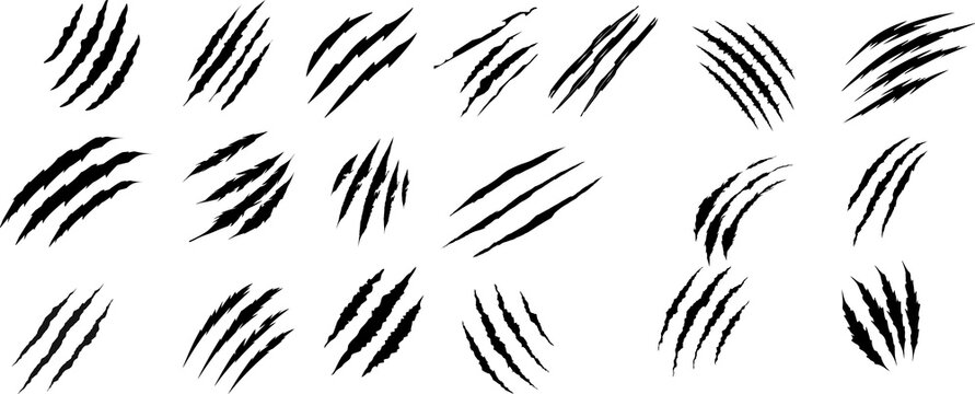 Collection of black grunge claw scratches Animal claw scratches mark set, cat tiger paw scratch shape, isolated on transparent background Animals claw scratches icons set, Claw scratch icon set.