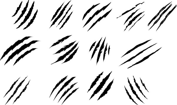 Collection of black grunge claw scratches Animal claw scratches mark set, cat tiger paw scratch shape, isolated on transparent background Animals claw scratches icons set, Claw scratch icon set.