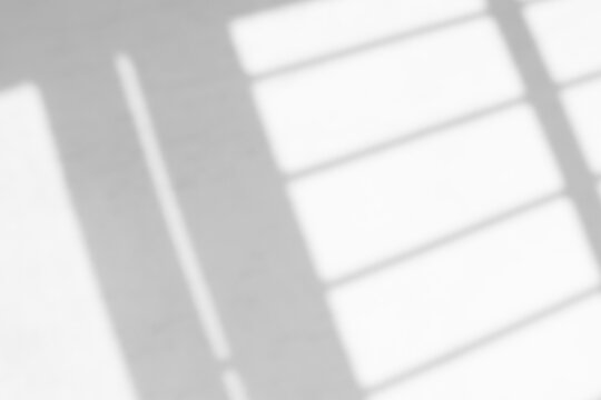 Shadow overlay effect isolated on transparent background, png. Mockup of abstract transparent shadow overlay effect and natural lightning scene. Leaves and window pane shadow overlay effect.