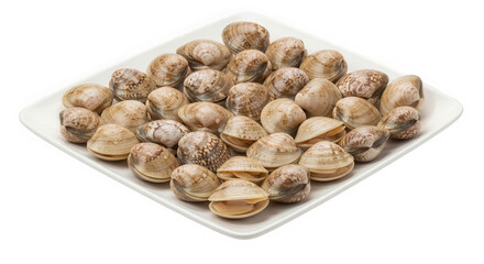 Obraz premium Fresh raw clams on white plate isolated on transparent background