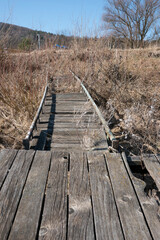 Obraz premium Wooden pontoon on the lake shore when the water level in the reservoir drops
