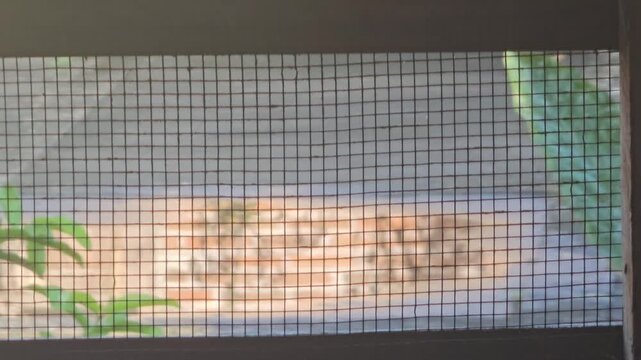 View through a wire mesh window screen looking out at a sunlit outdoor concrete surface with dry leaves and green plants