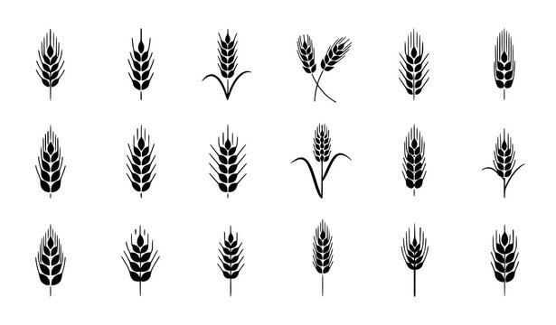 Car Steering Wheel Icon Set Featuring Multiple Automotive Wheel Designs, Driving Controls, and Vehicle Interior Symbols for Transport and Dashboard Interface Design