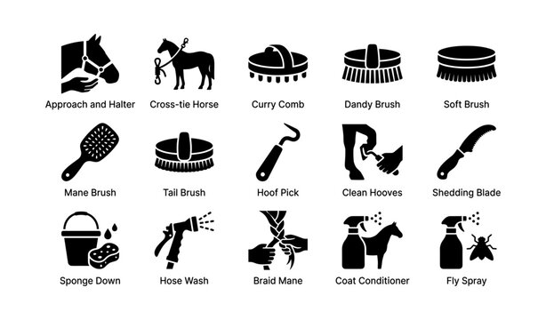 Guide to essential horse grooming tools and techniques