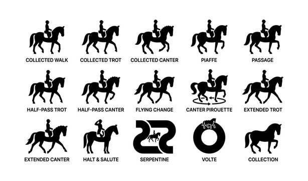 Rider dressage silhouettes: equestrian movements and figures