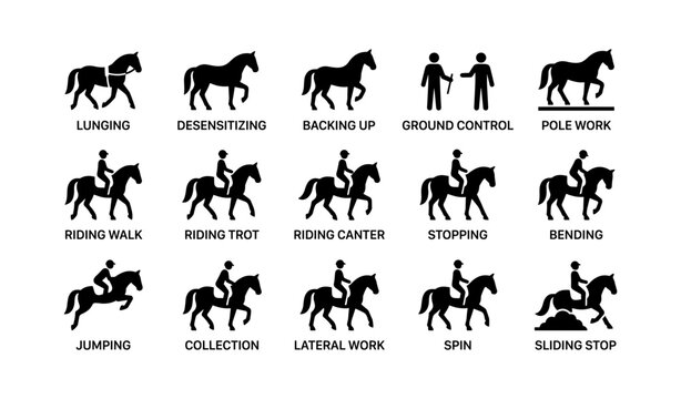 Horse training techniques: visual guide to equine exercises and skills development