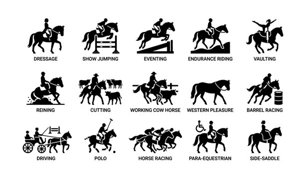 Silhouette icons of equestrian activities with riders on horses