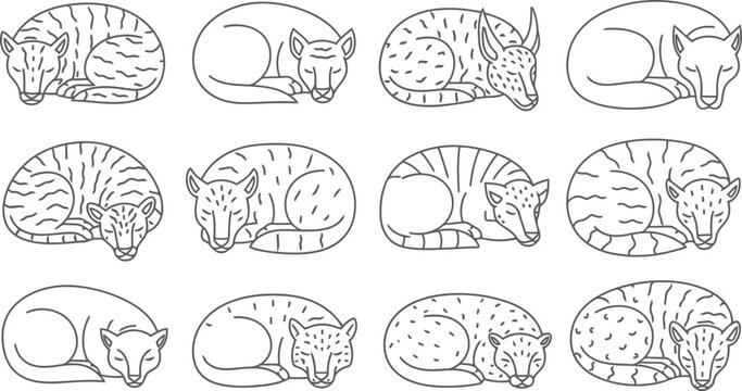 Illustrations of brain cross sections and lobes