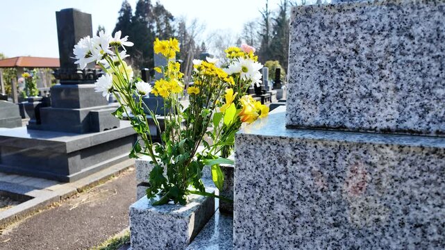 日本の霊園にある集合墓地とお供えされた仏花の風景