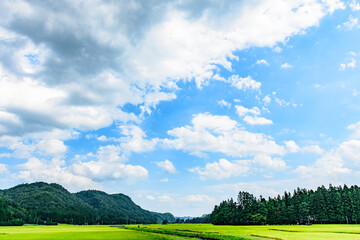 Naklejka premium 骨寺村田園の秋 もうすぐ稲刈り 