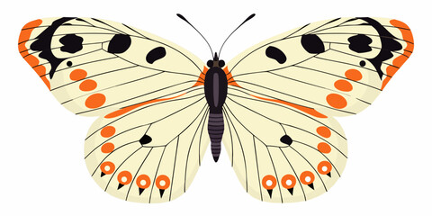 A detailed illustration of a colorful butterfly with spotted wings © Tusar