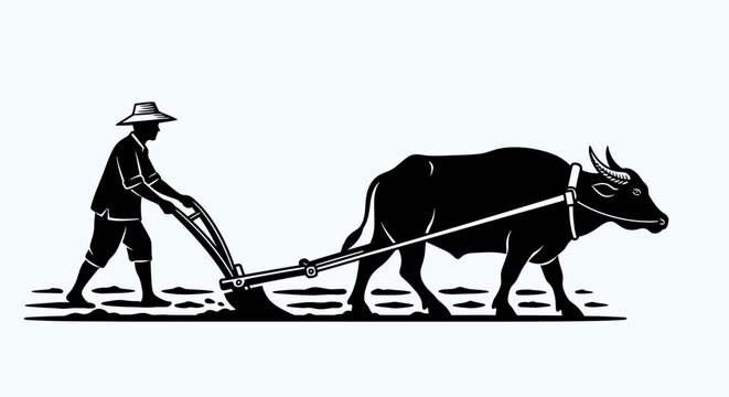 Man plowing field with oxen slowly 7.