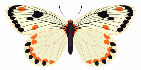 A brightly colored butterfly with orange spots and black markings © Delip