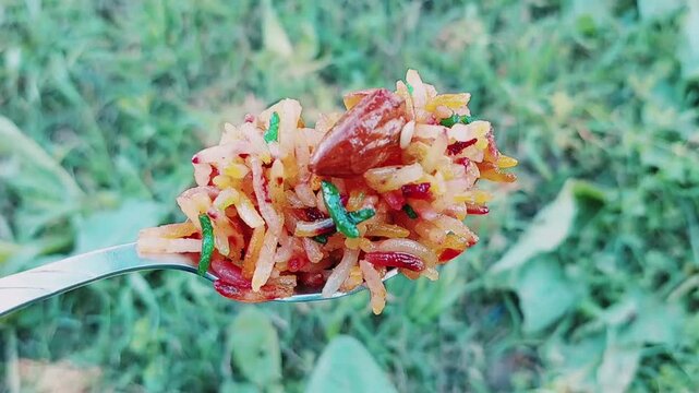 Close Up Final Bite Of Mutanjan Zarda Sweet Rice