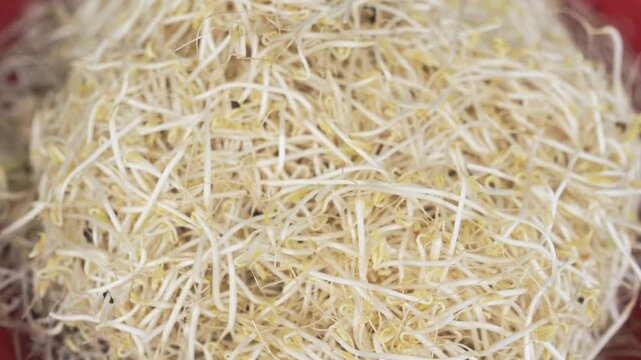 Fresh Bean Sprouts On Market Bin In Vietnamese Street Market Closeup Of Fine Pale Yellow Strands, Crunchy Texture, Dense Pile In Plastic Tray, Raw Ingredient For Pho And Stirfry, Vibrant