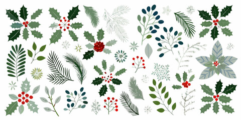 A festive collection of illustrated winter foliage and berry branches © Raju