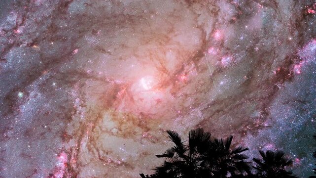 Breathtaking View of Spiral Galaxy M83 with Meteor Shower and Silhouette of Palm Trees at Night