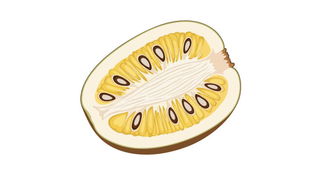 vector of ripe jackfruit being split