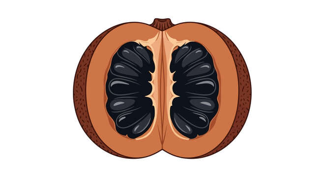 kepel fruit seeds