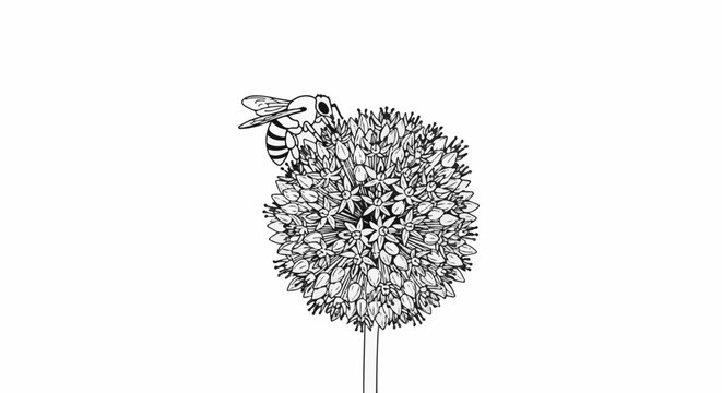 A detailed line drawing of a bee landing on a spherical flower
