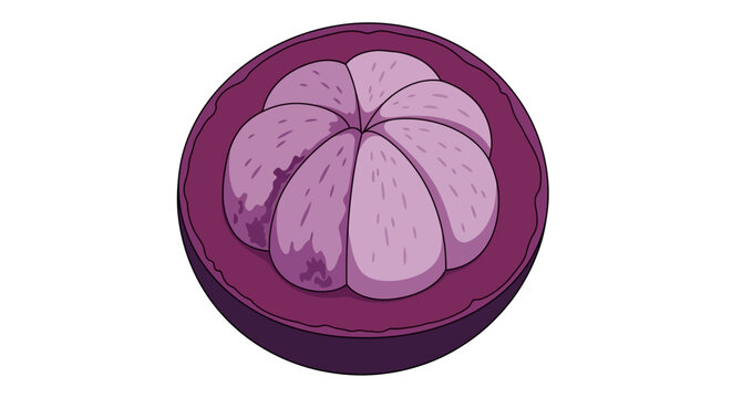 rotten mangosteen vector