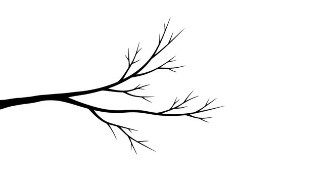 A minimalist black branch with multiple twigs on a white background.