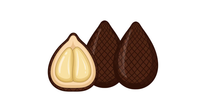 dark brown salak fruit vector