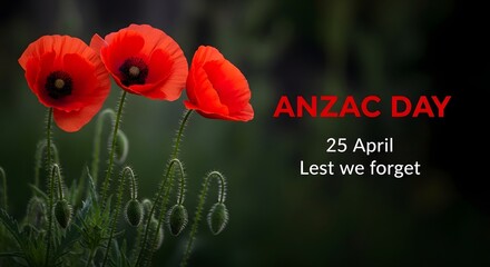 Anzac day poppies on 25 april