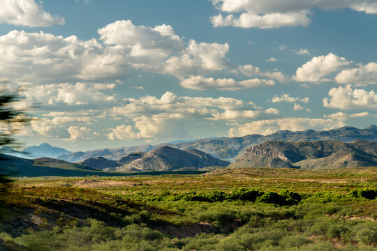 USA, Arizona, Tucson.  Sonoran desert landscape south of the city.