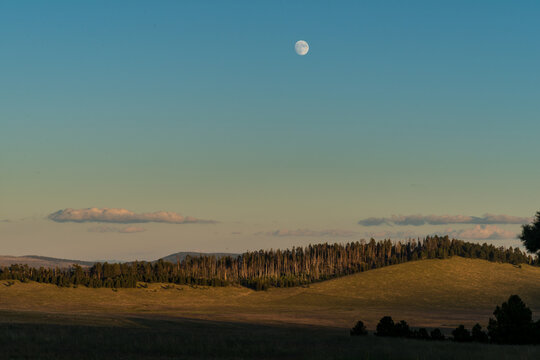 USA, Arizona, Springerville.  Night falls in the White Mountains.