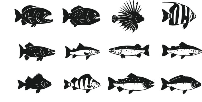 Collection of twelve fish silhouettes with different species designs, marine and freshwater wildlife icons illustration pattern