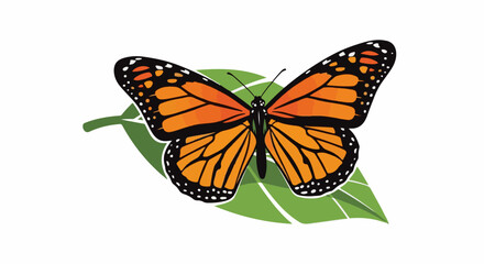 Obraz premium A monarch butterfly with orange and black wings rests on a green leaf