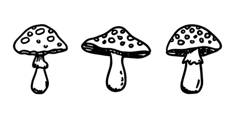 Fototapeta premium Hand drawn mushroom doodle set Botanical illustration Cute autumn mushroom Healthy eco food Organic vegetarian food For stickers, greeting card, design, print, packaging, decor, kids books